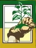 Its_the_Touch
